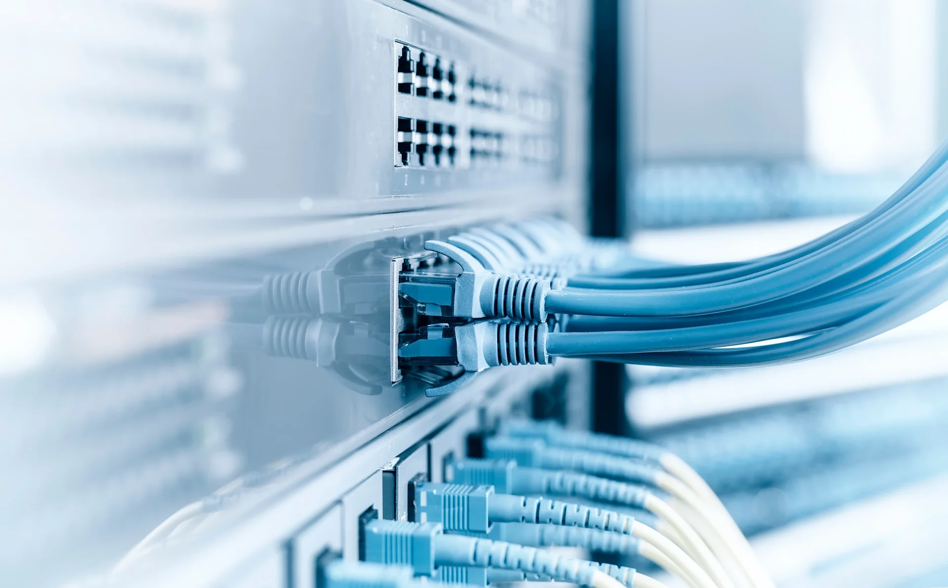 Nahaufnahme blauer Netzwerkkabel in den Ports eines Switches im Serverschrank